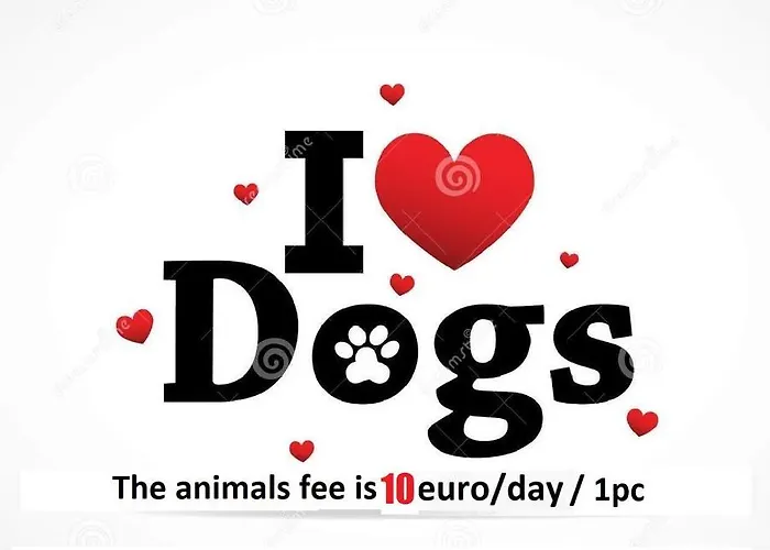 Happy Gold Studio, Self Check-in, Parking In The Underground Garage